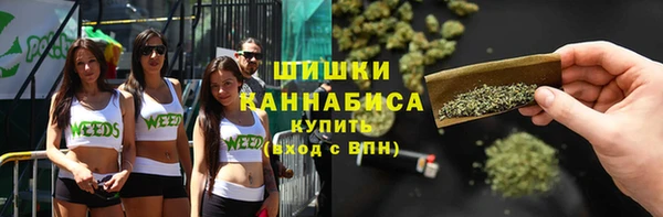 дмт Армянск