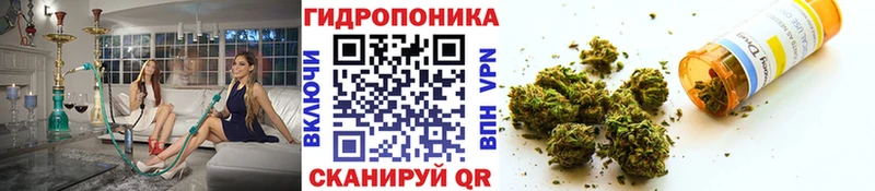 Каннабис SATIVA & INDICA  Серов 